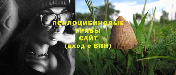 mix Арсеньев