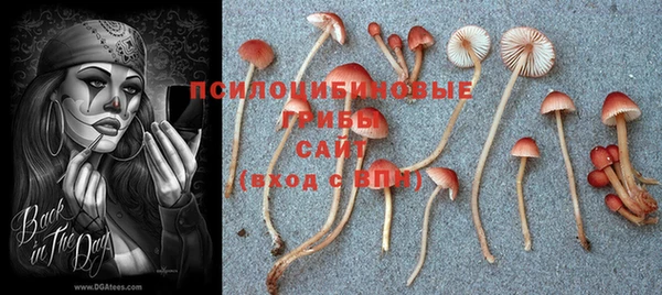 мяу мяу мука Армянск