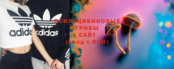 не бодяженный Аркадак