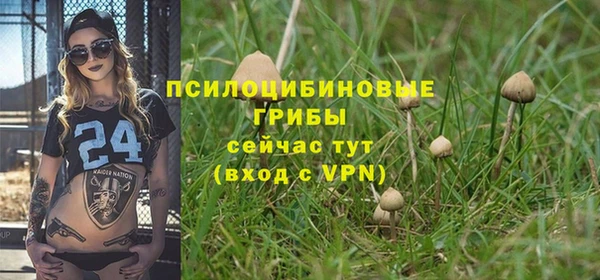 ПСИЛОЦИБИНОВЫЕ ГРИБЫ Балабаново