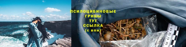 мяу мяу мука Армянск