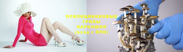 мяу мяу мука Армянск