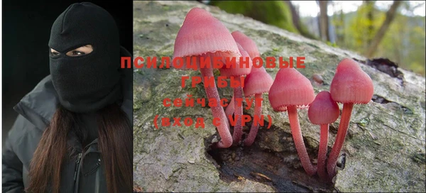 ПСИЛОЦИБИНОВЫЕ ГРИБЫ Балабаново