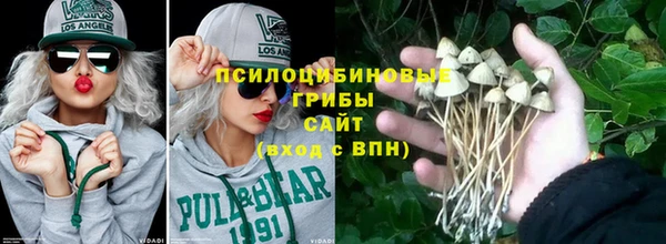 ПСИЛОЦИБИНОВЫЕ ГРИБЫ Балабаново